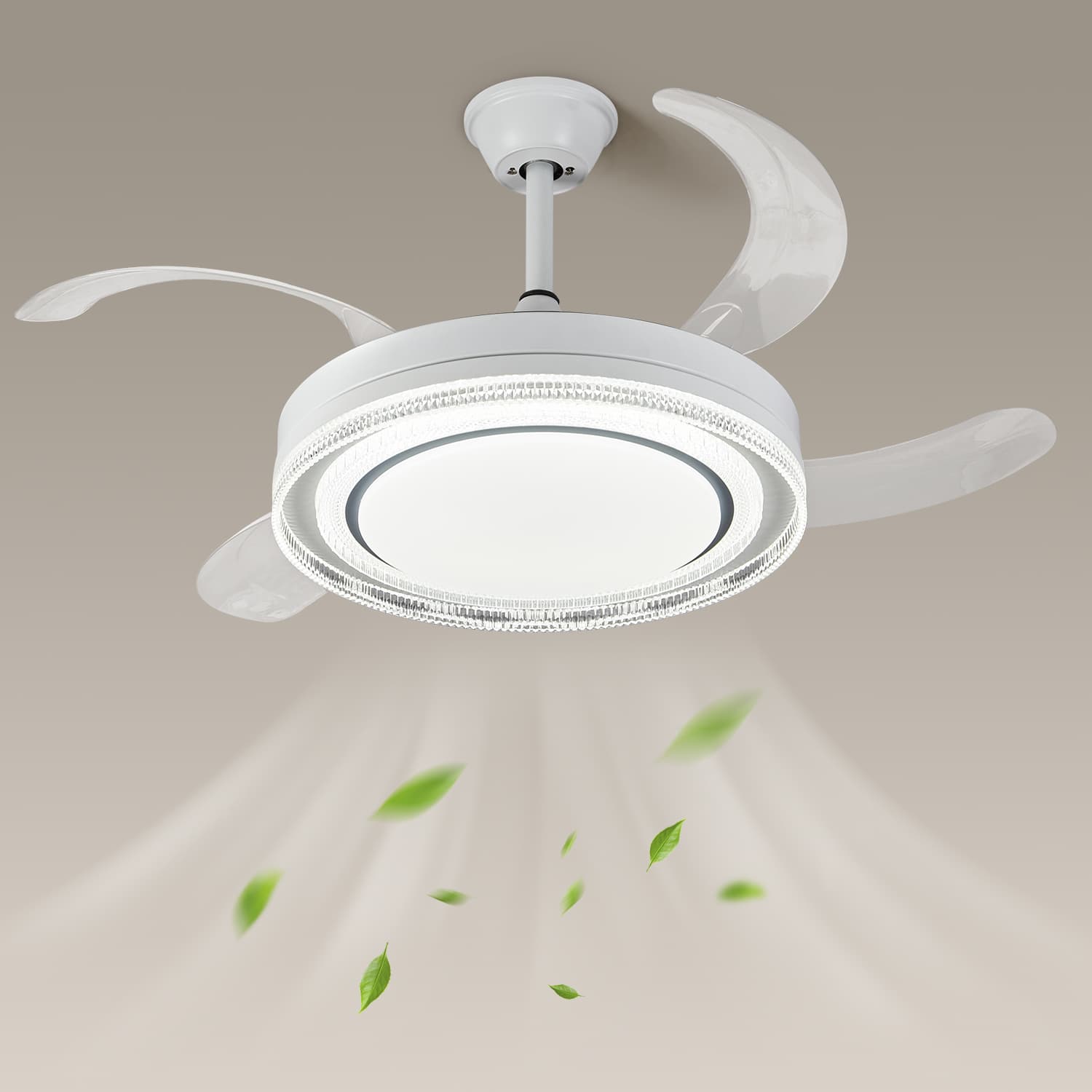 F001 LED Ceiling Light