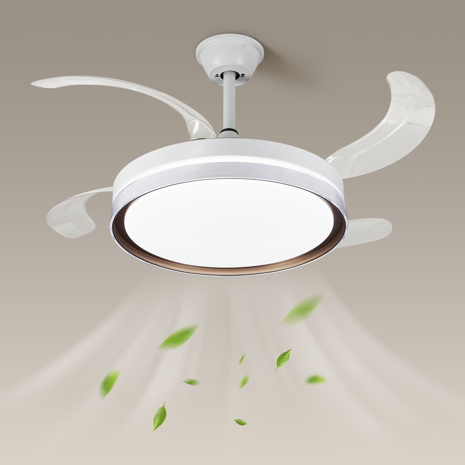 F005 LED Ceiling Light