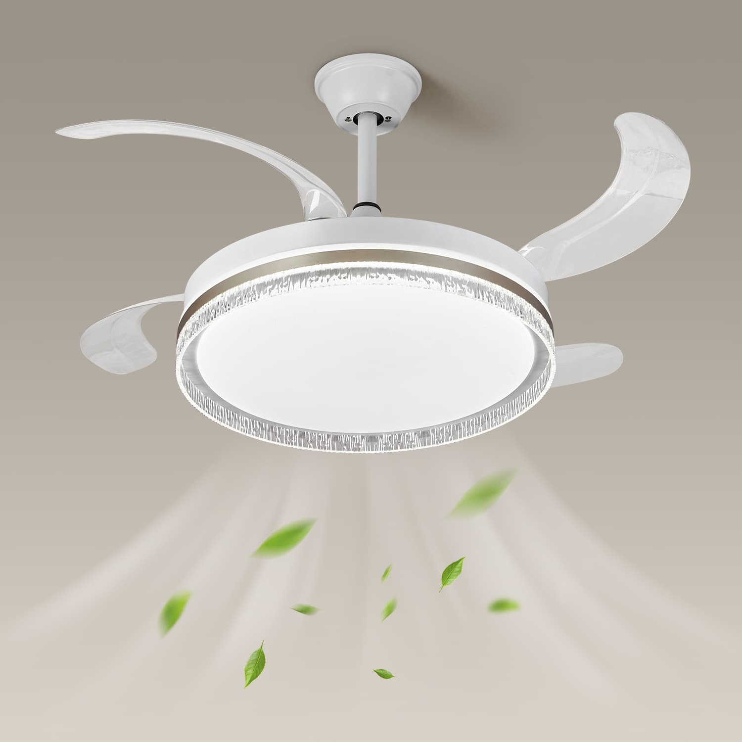 F007 LED Ceiling Light main