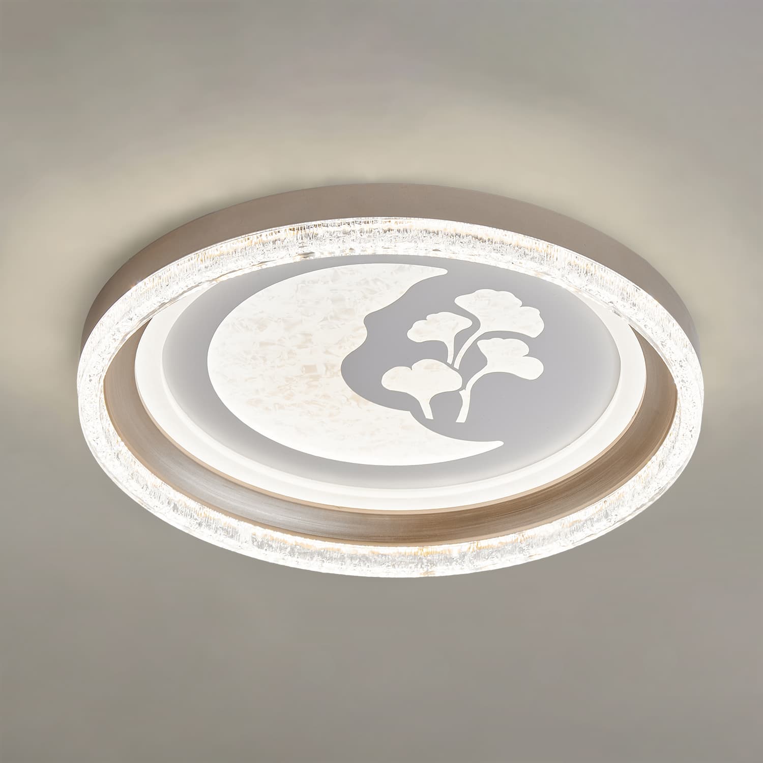 HA055 LED Ceiling Light main