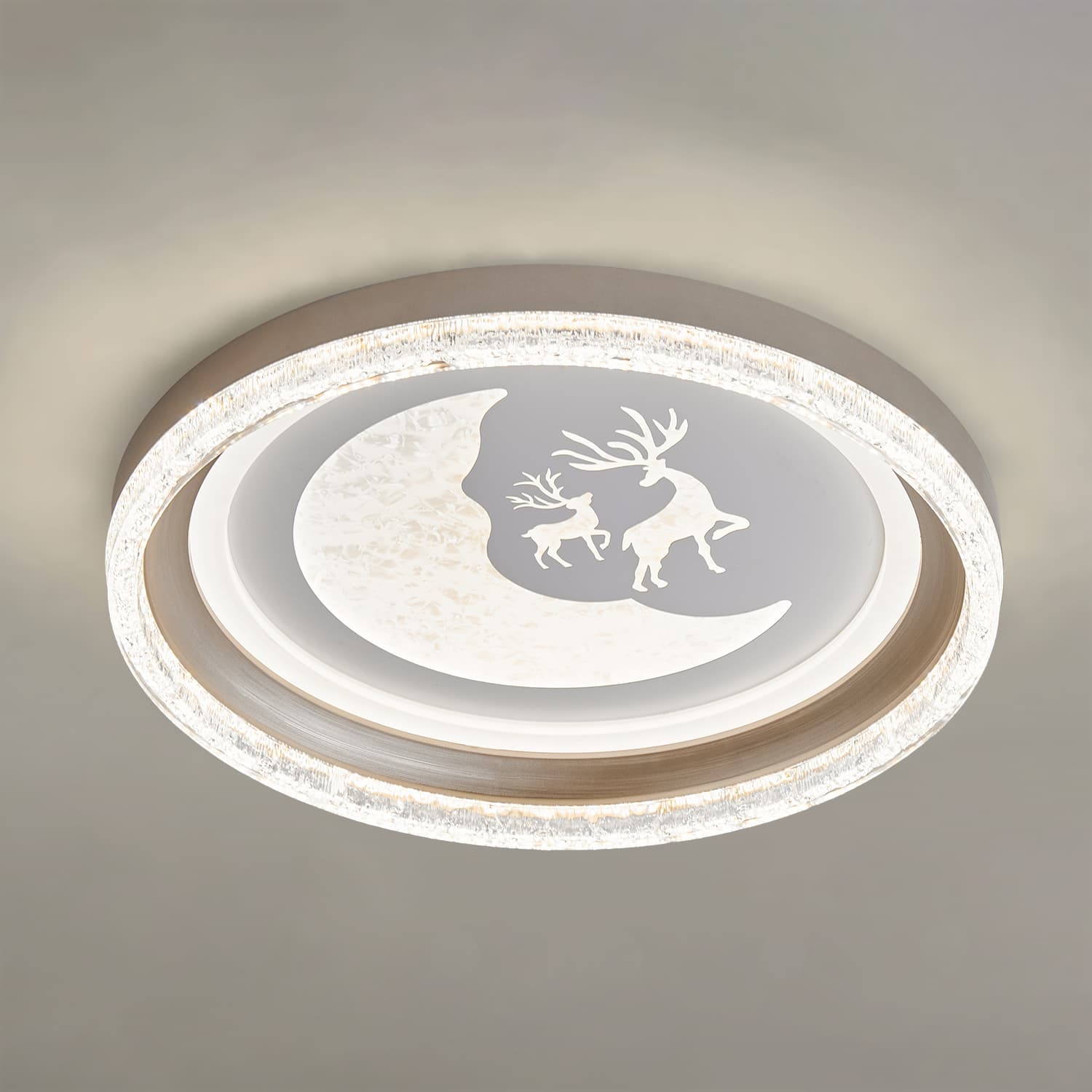 HA056 LED Ceiling Light main