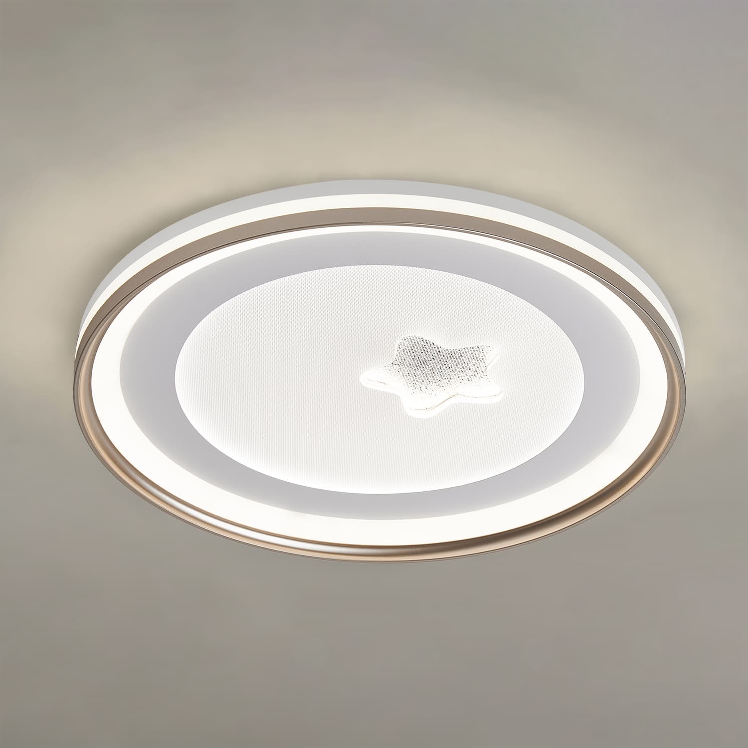 HC045 LED Ceiling Light main