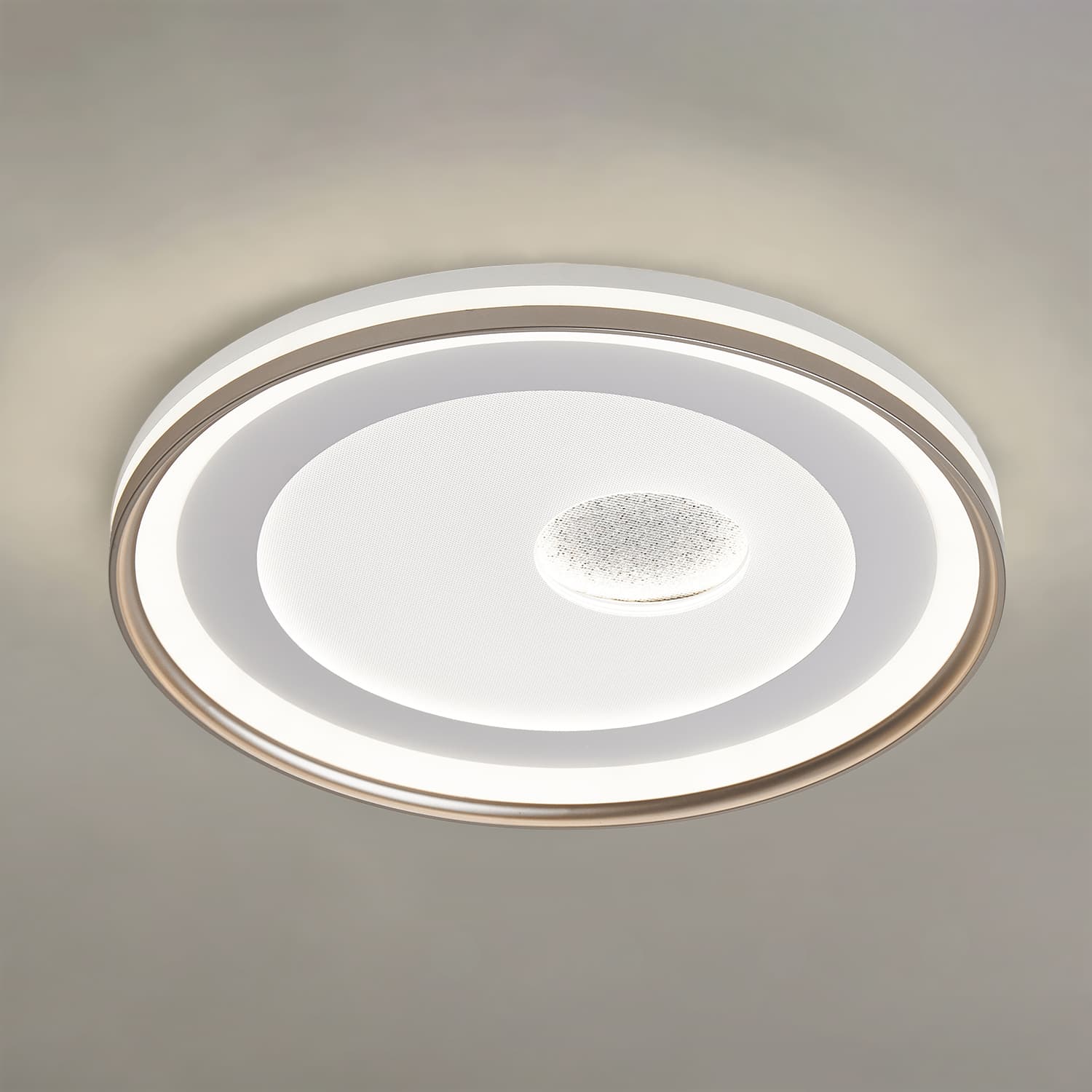 HC046 LED Ceiling Light main