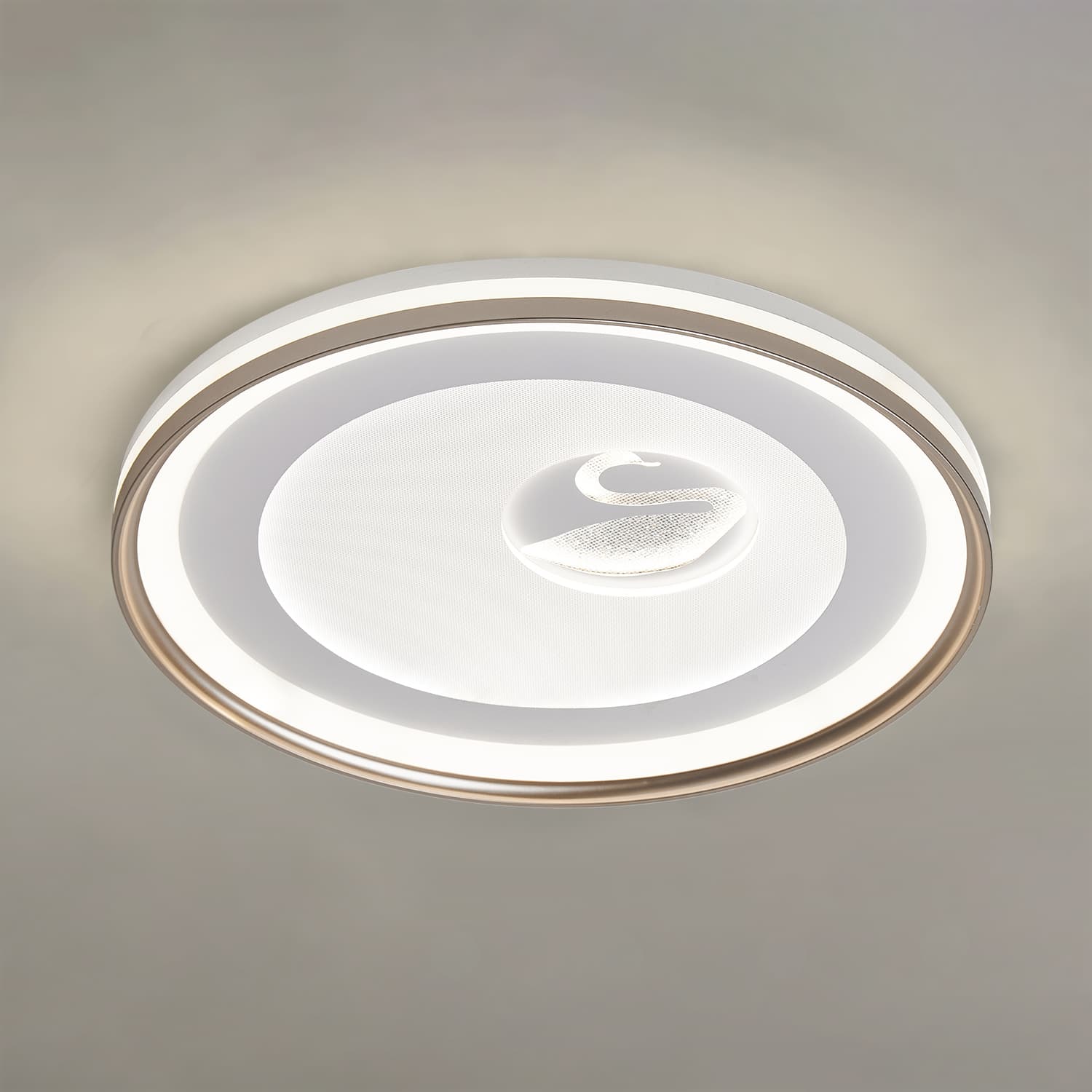 HC047 LED Ceiling Light main