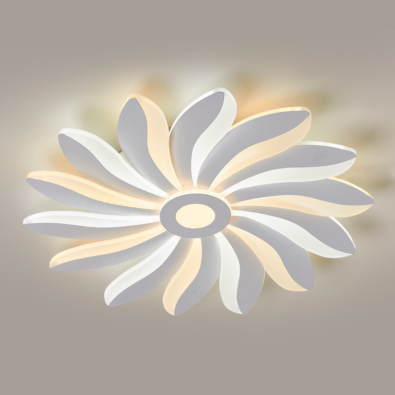 HG001 LED Ceiling Light main