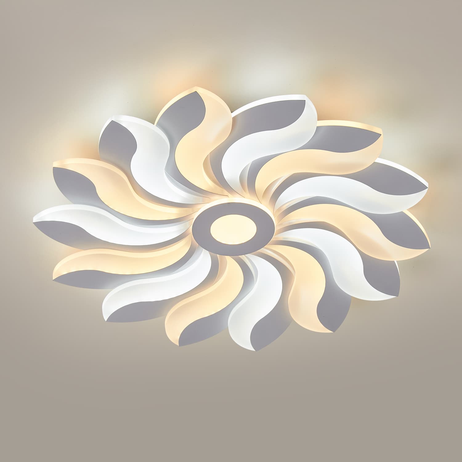 HG002 LED Ceiling Light main