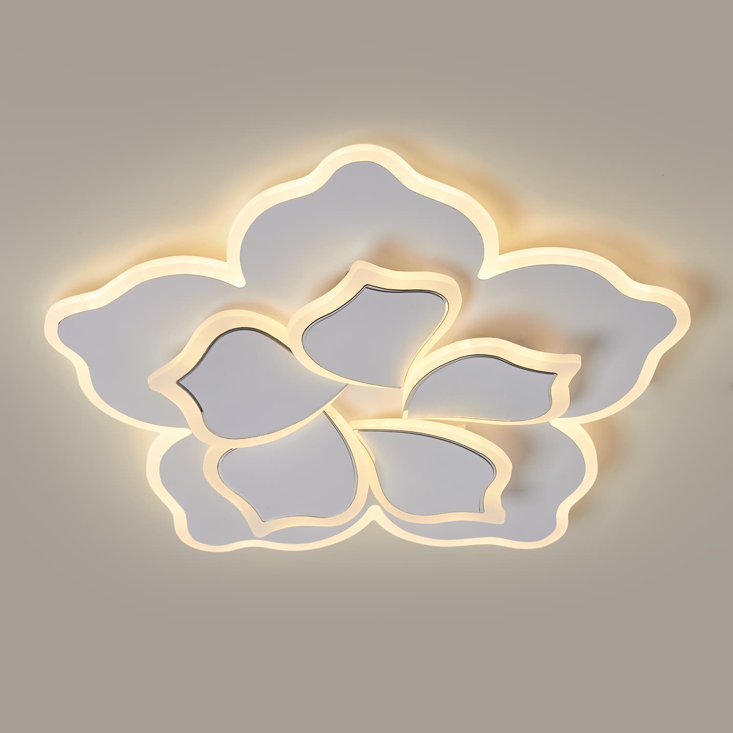HG004 LED Ceiling Light main