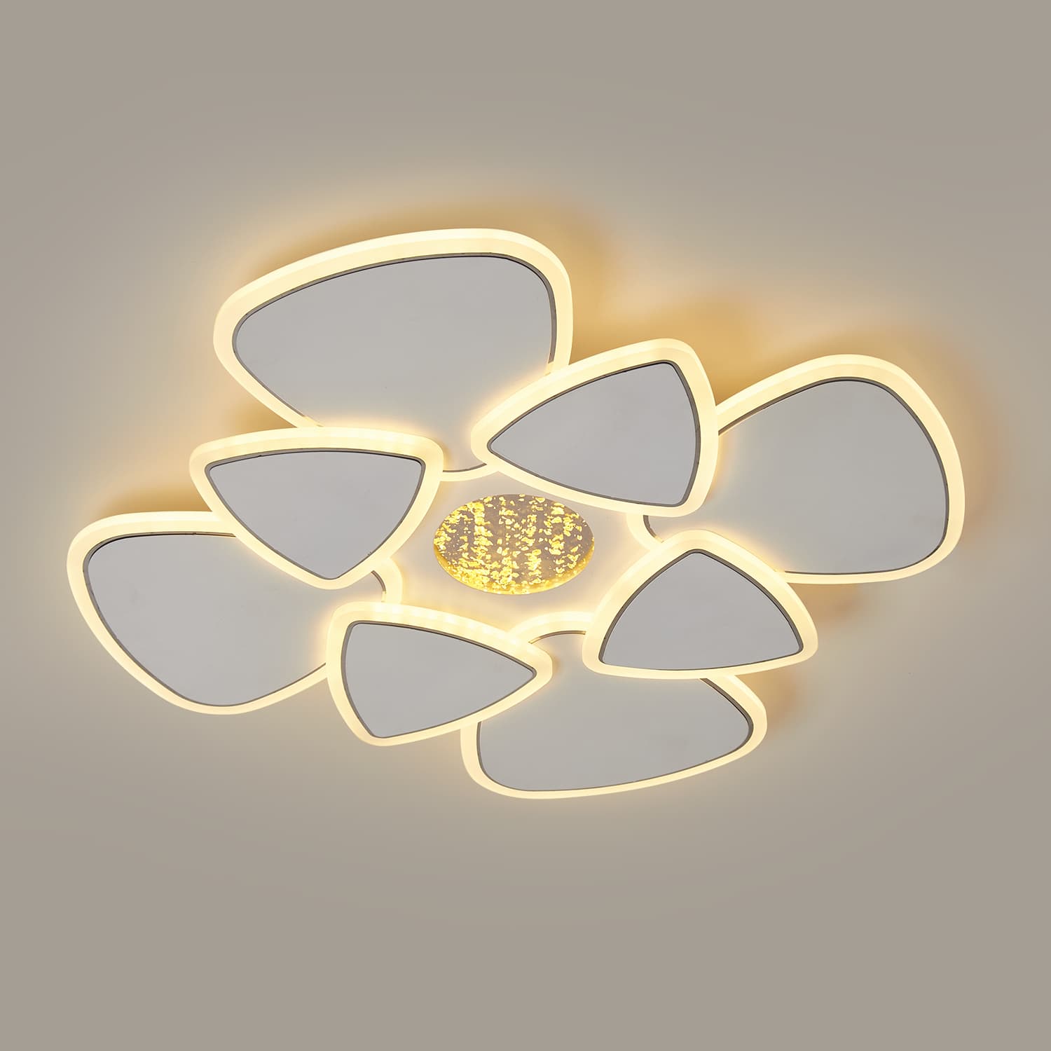 HG007 LED Ceiling Light main